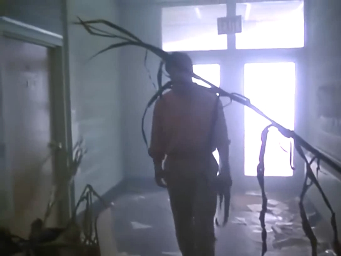 玉米田的小孩2剧照的剧照