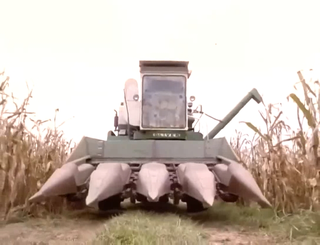 玉米田的小孩2剧照的剧照