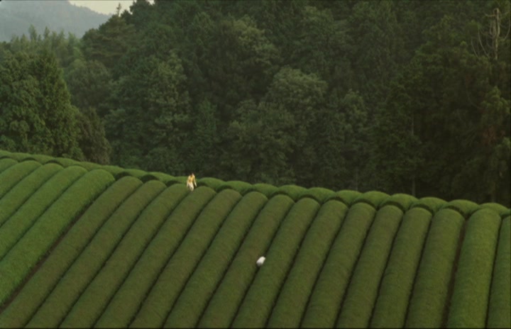 殡之森剧照的剧照