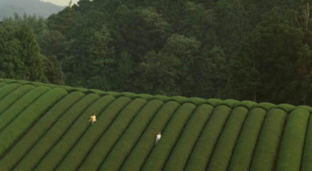 殡之森剧照的剧照