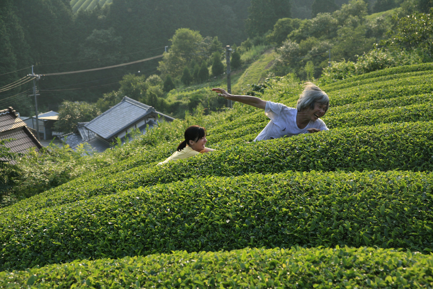 殡之森剧照的剧照