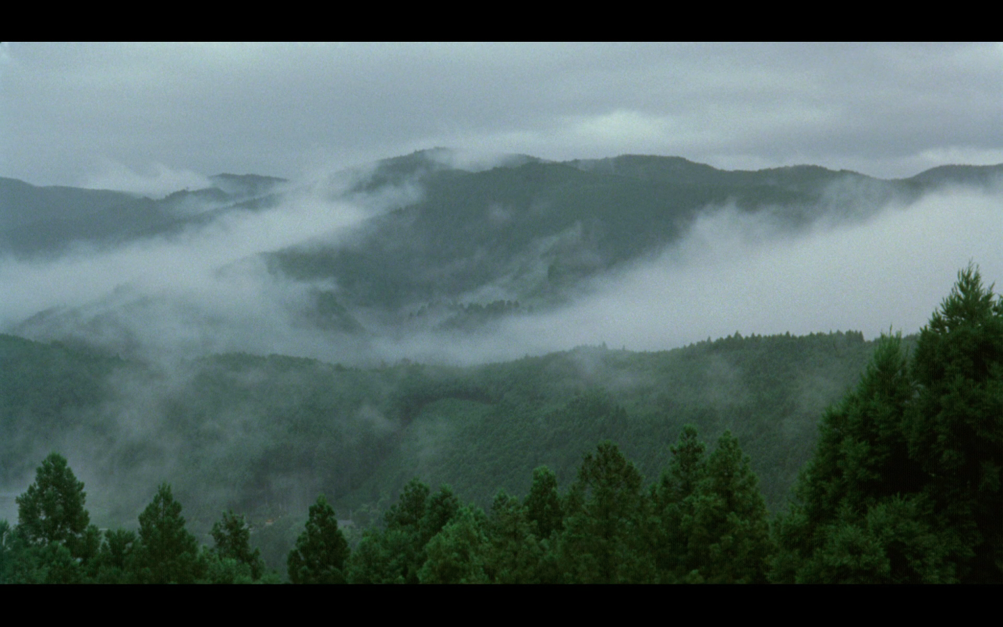 殡之森剧照的剧照