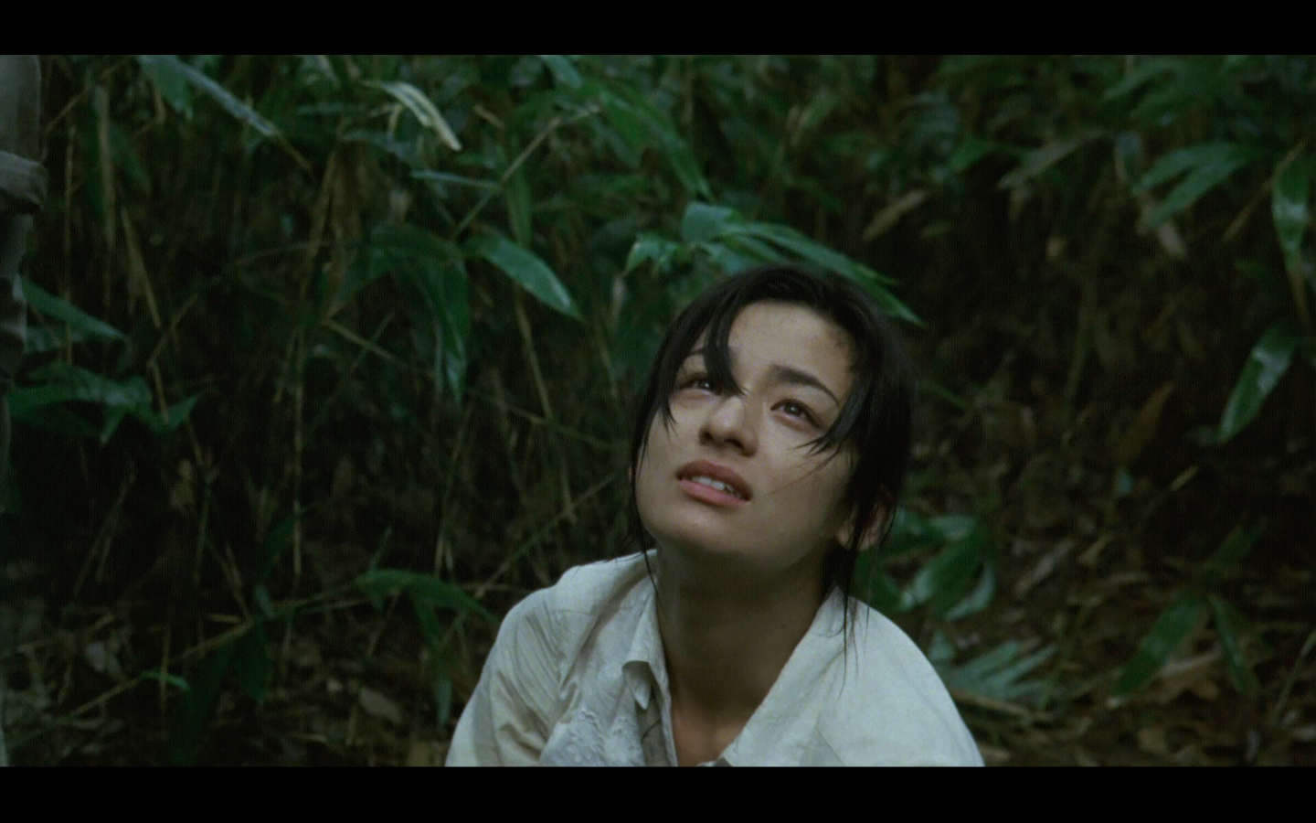 殡之森剧照的剧照