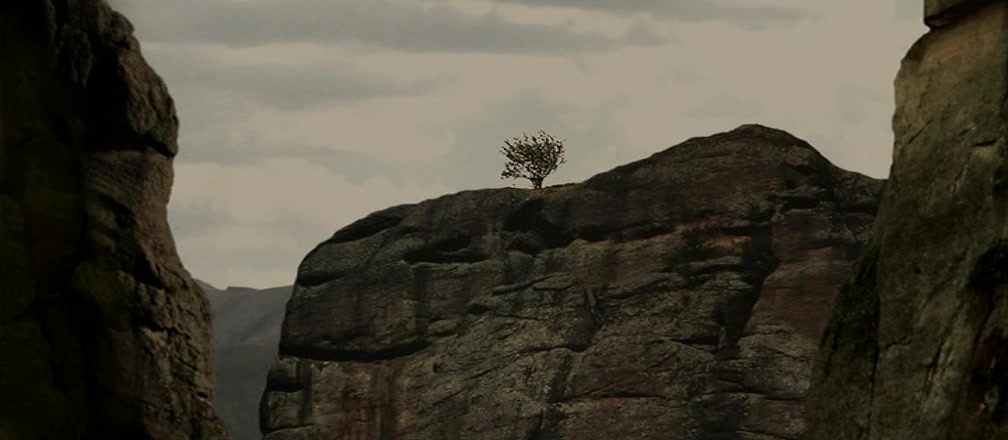 迈泰奥拉剧照的剧照