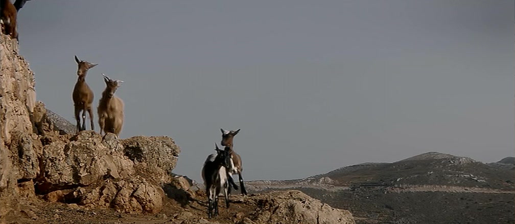 迈泰奥拉剧照的剧照
