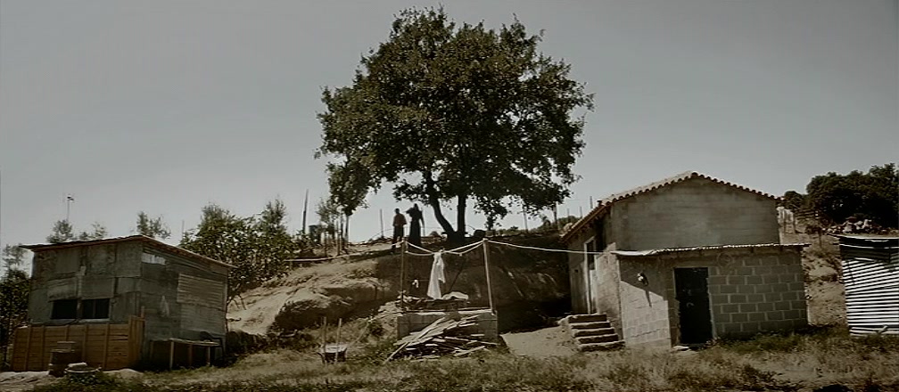 迈泰奥拉剧照的剧照