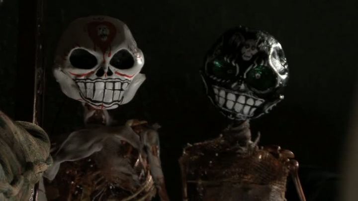 颅骨剧照的剧照