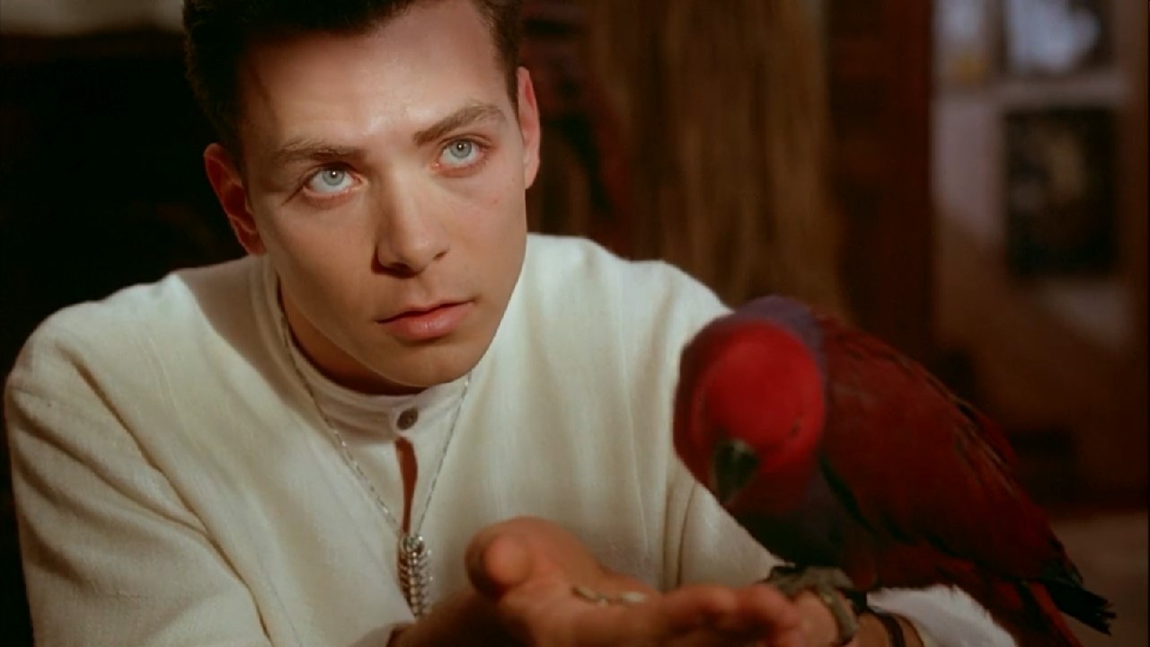 裸体午餐剧照的剧照