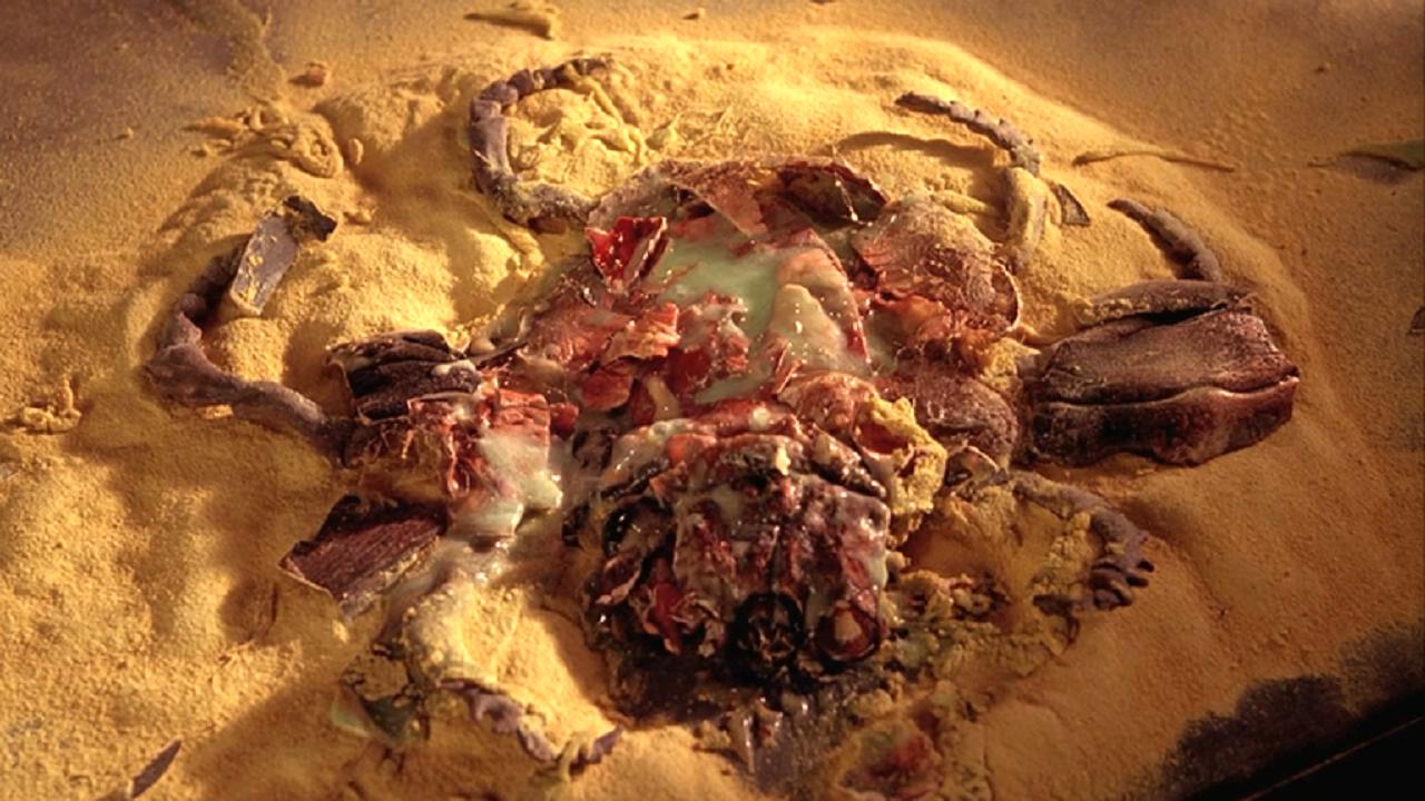 裸体午餐剧照的剧照