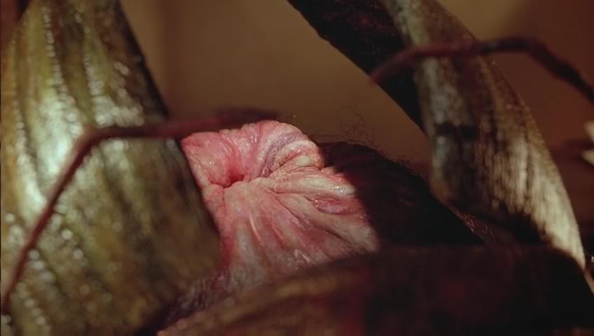 裸体午餐剧照的剧照