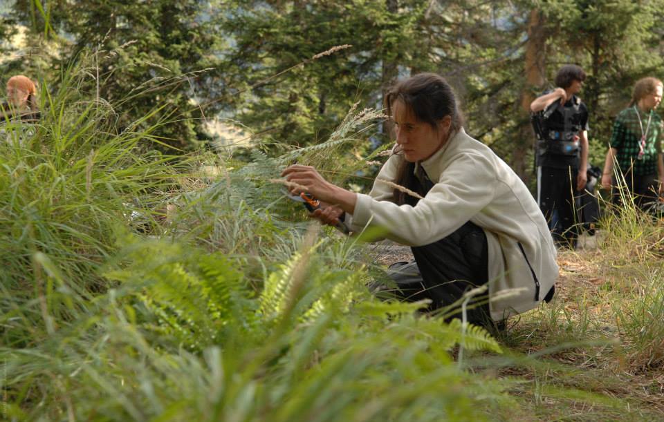 昆虫总动员剧照的剧照