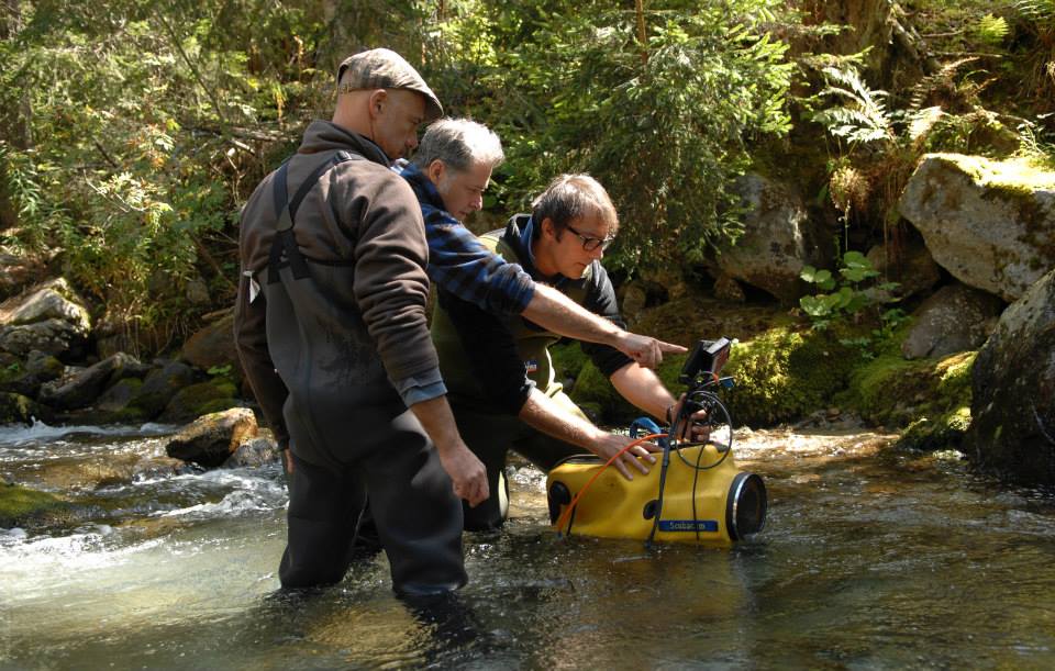 昆虫总动员剧照的剧照