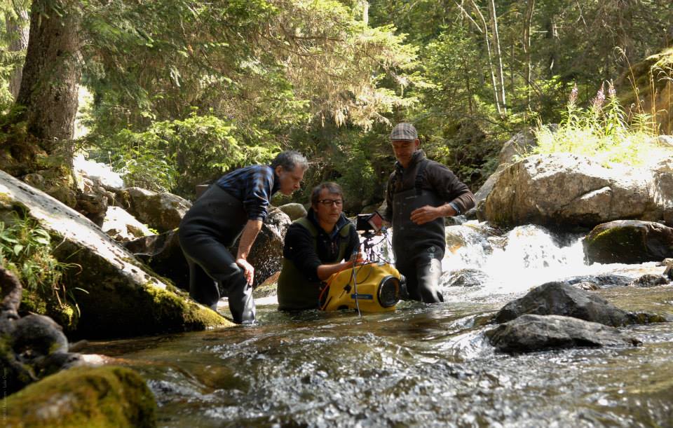昆虫总动员剧照的剧照