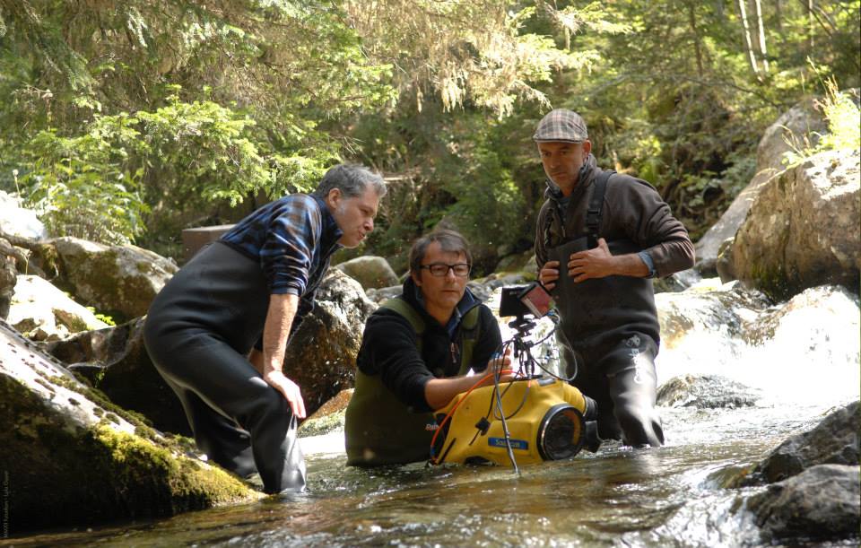 昆虫总动员剧照的剧照