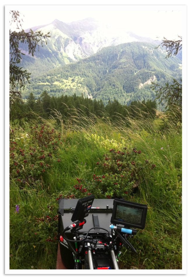 昆虫总动员剧照的剧照