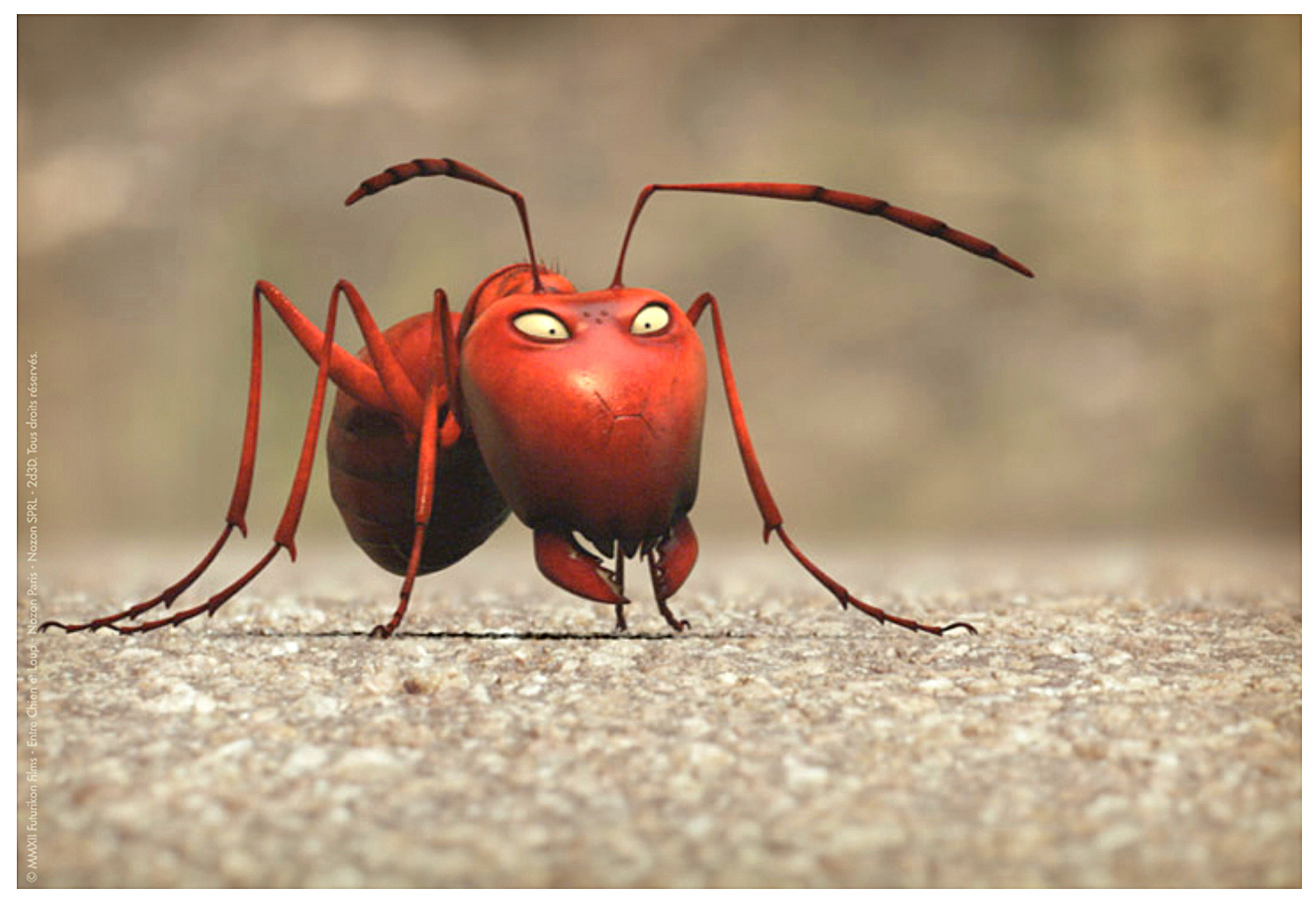 昆虫总动员剧照的剧照