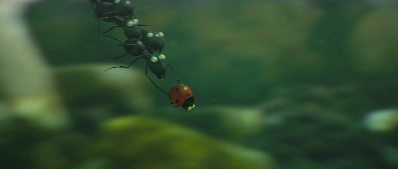 昆虫总动员剧照的剧照