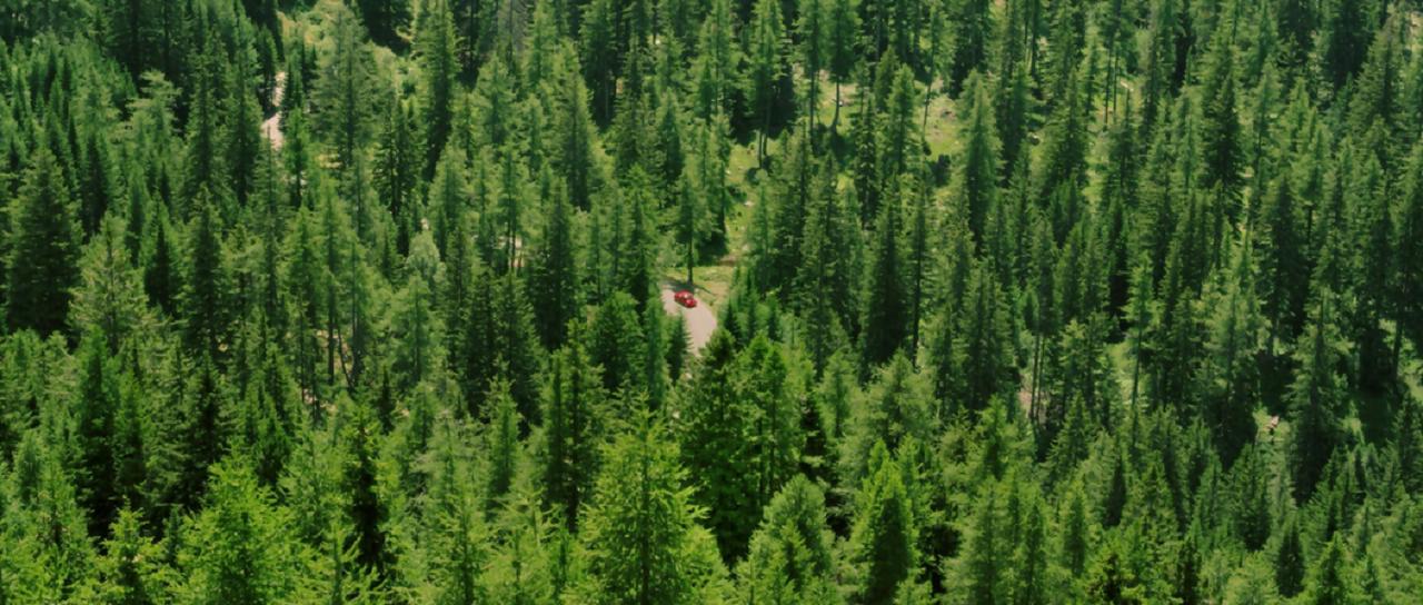 昆虫总动员剧照的剧照