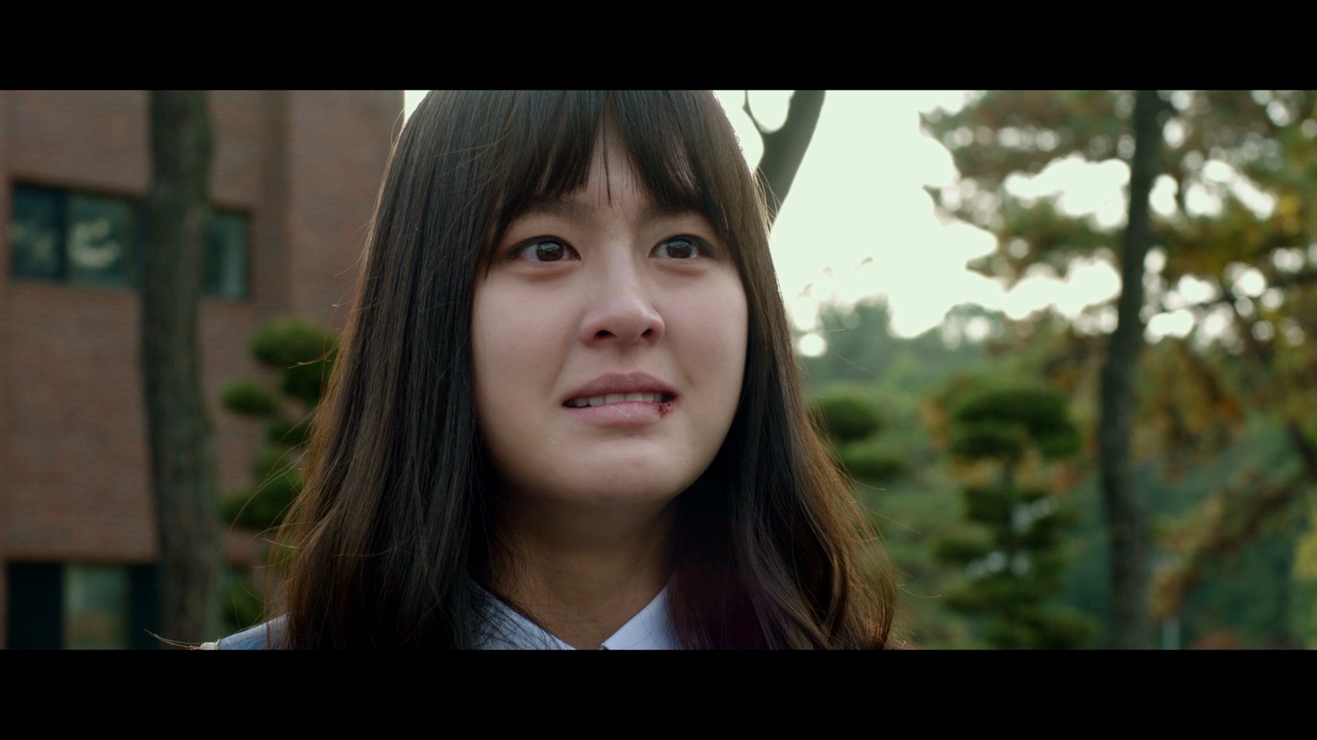 蚯蚓剧照的剧照