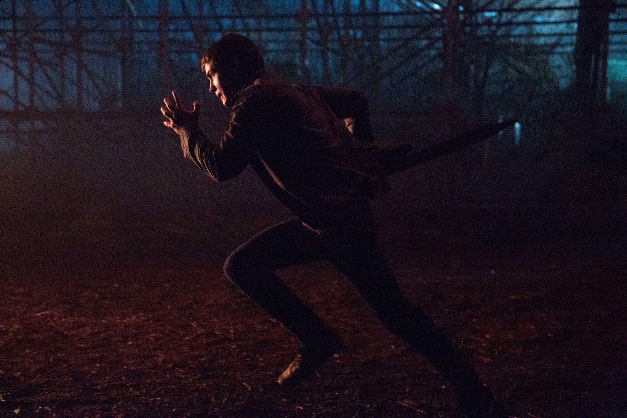 波西·杰克逊与魔兽之海剧照的剧照