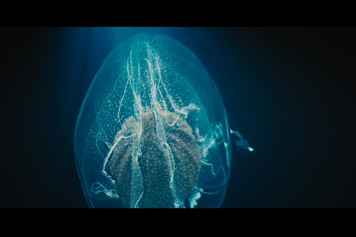 波西·杰克逊与魔兽之海剧照的剧照