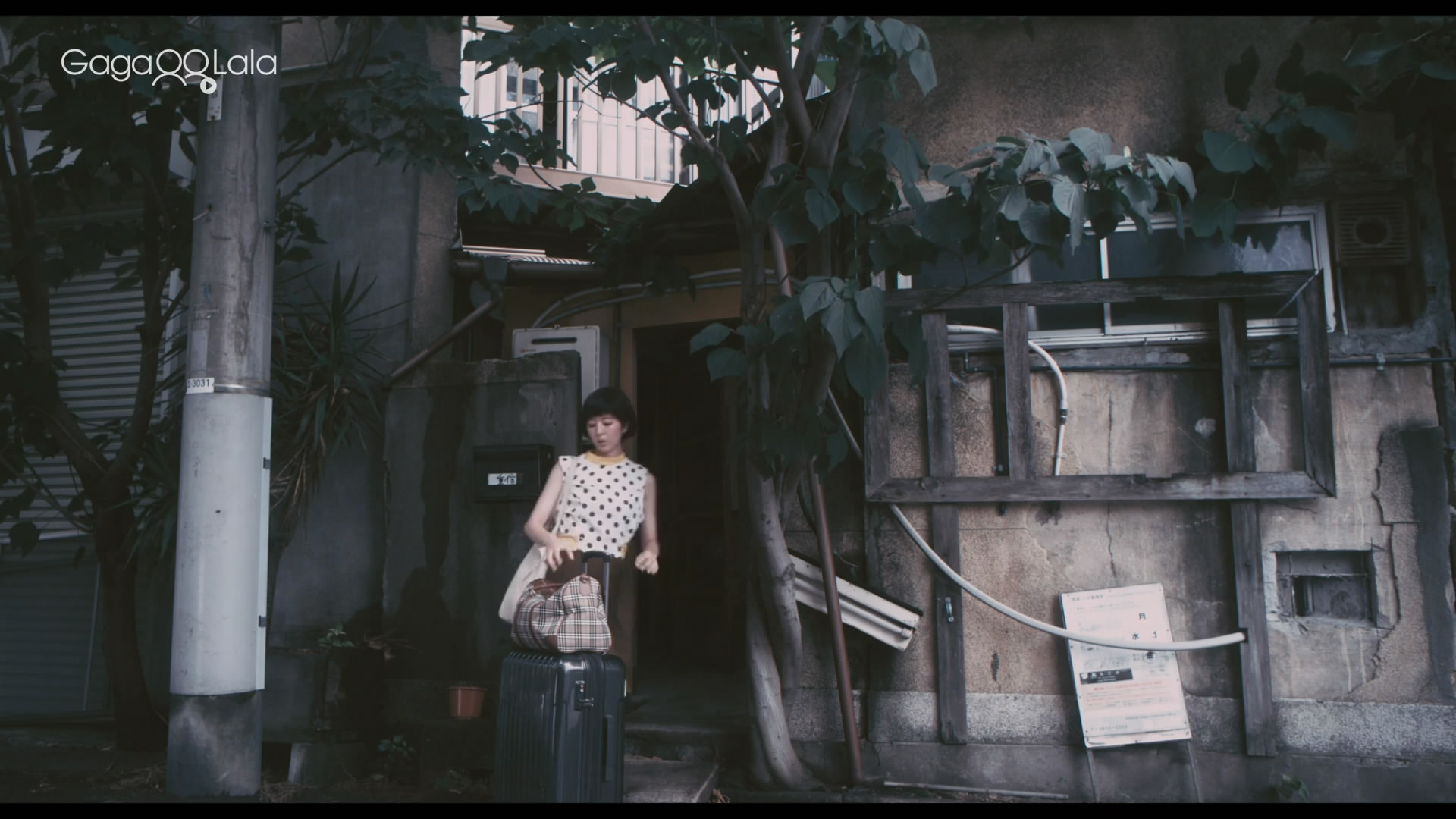 过激派歌剧剧照的剧照