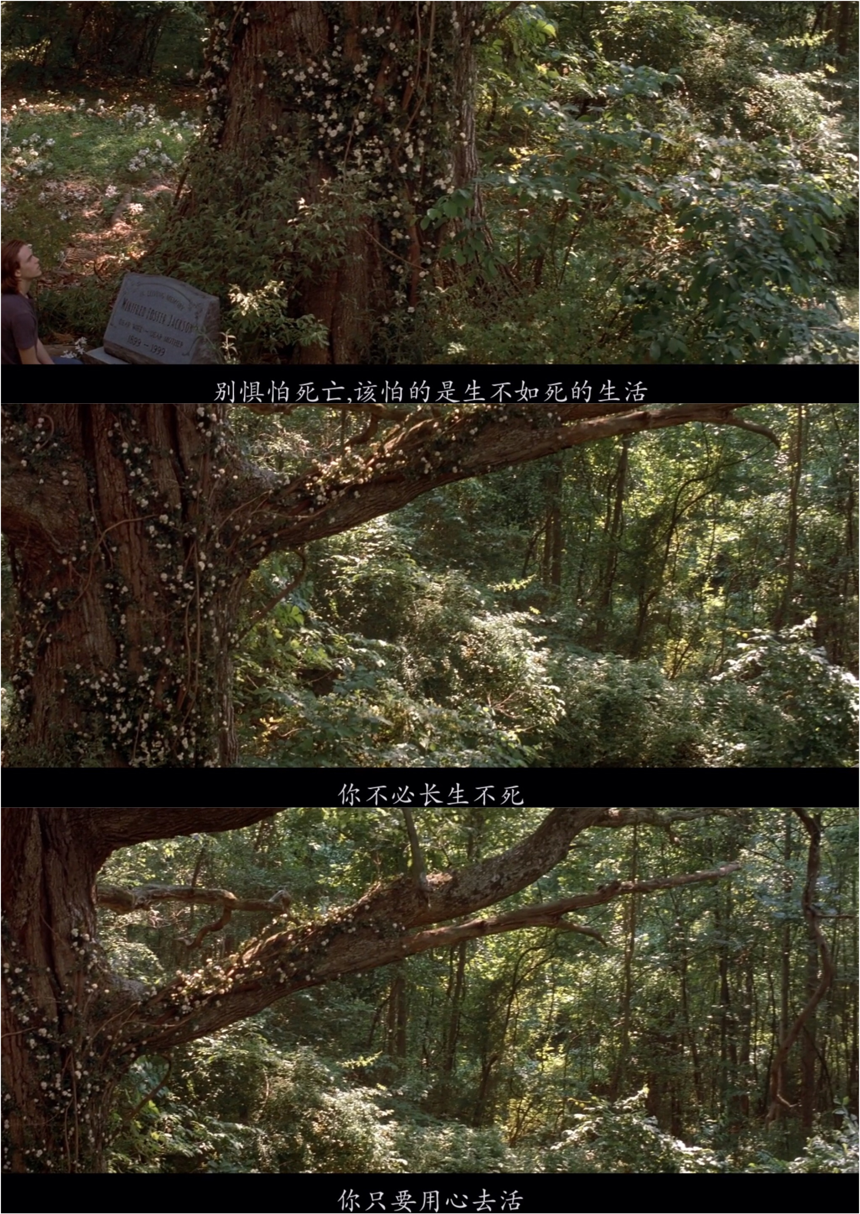 真爱无尽剧照的剧照