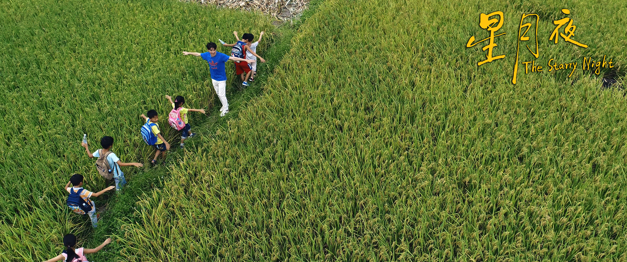 星月夜剧照的剧照