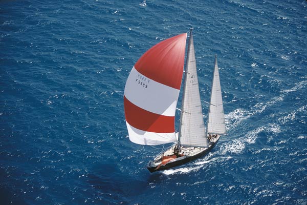 塔博里剧照的剧照