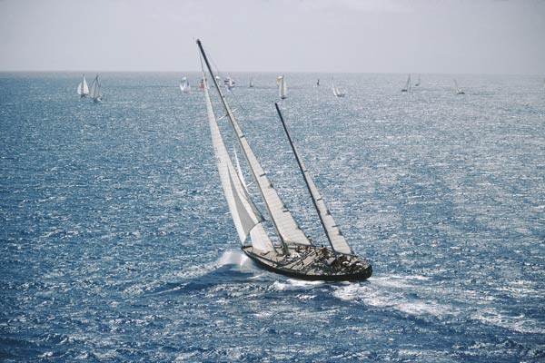 塔博里剧照的剧照