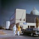 融掉低等生物剧照