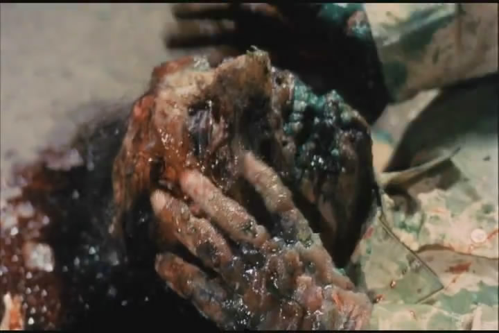 融掉低等生物剧照的剧照