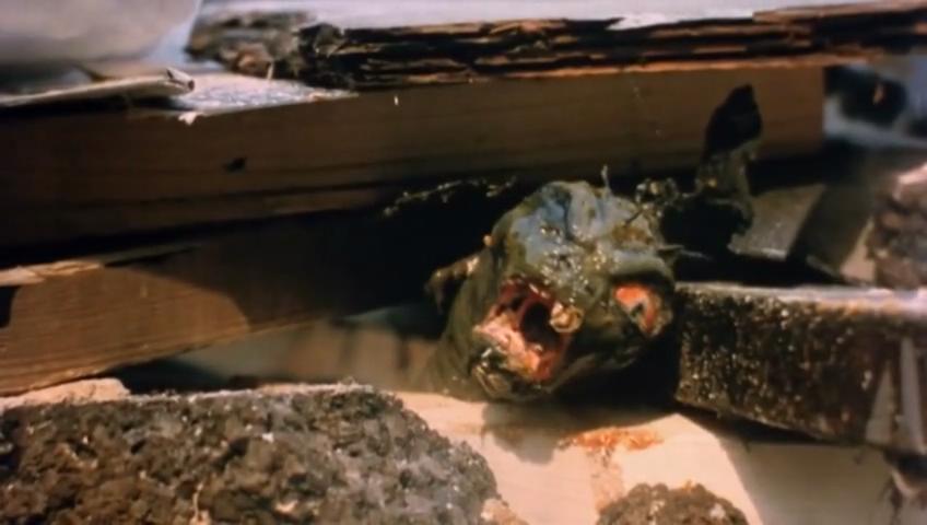 融掉低等生物剧照的剧照