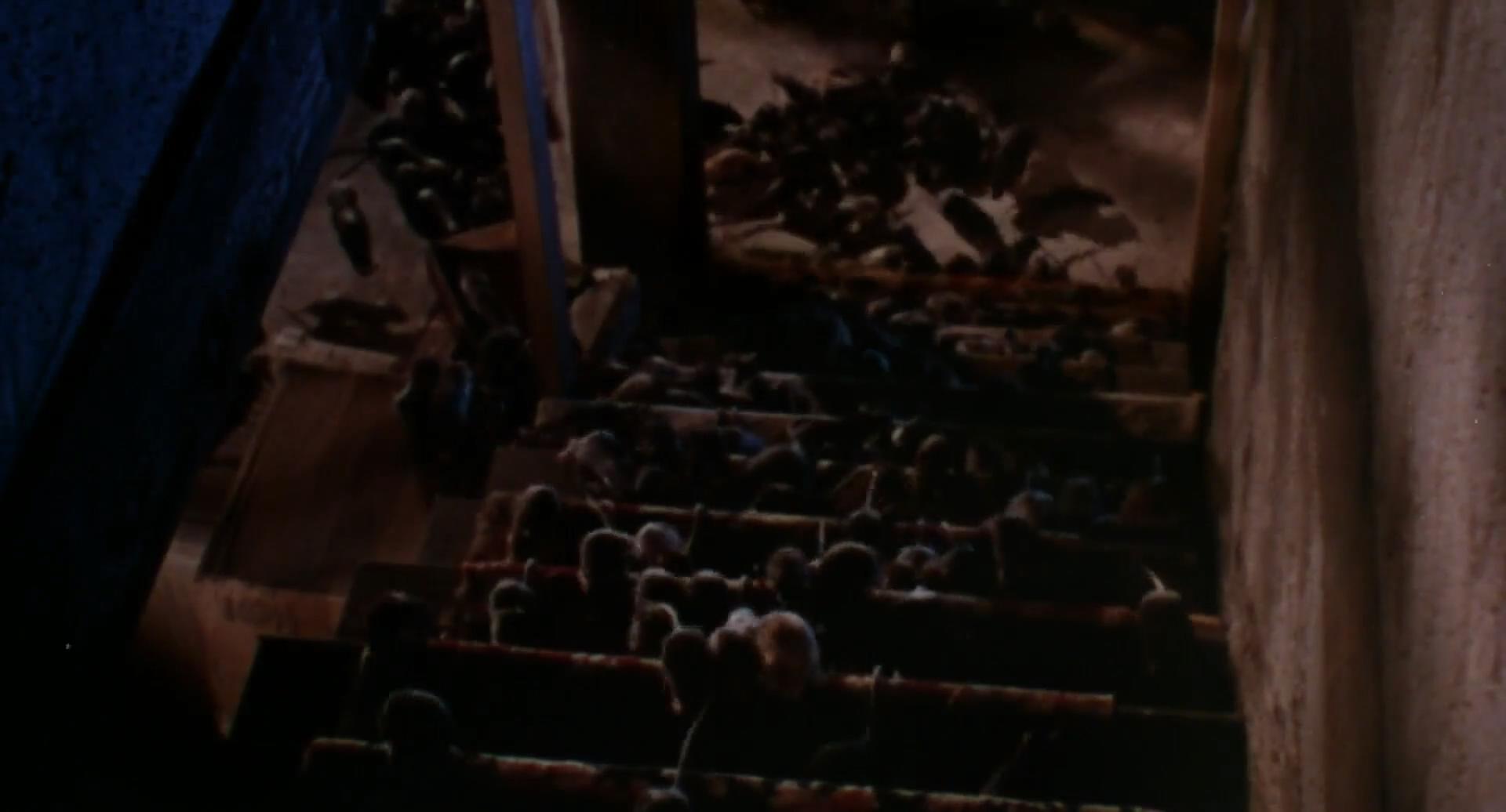 威拉德剧照的剧照