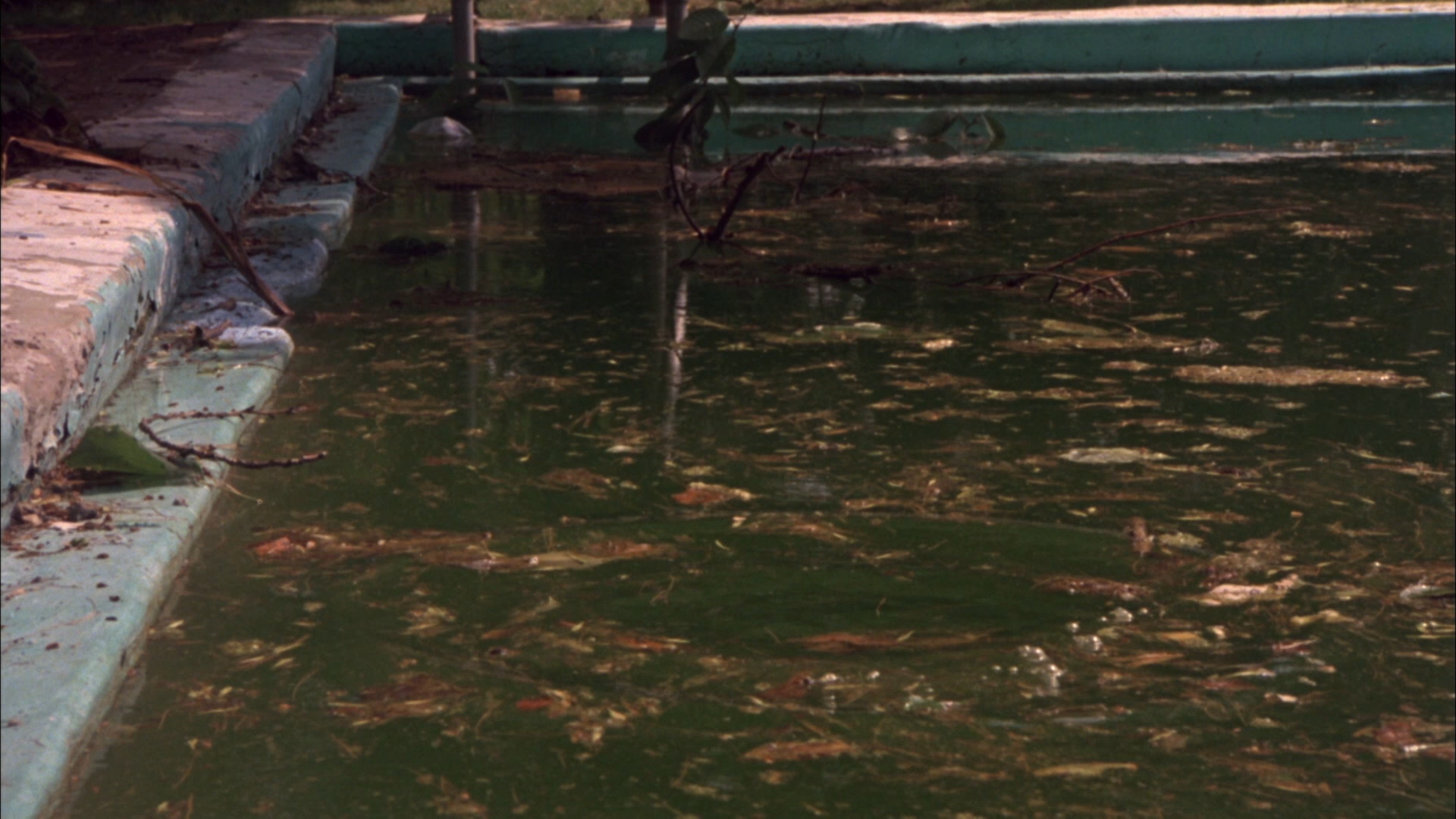 姐妹联谊会惊魂剧照的剧照