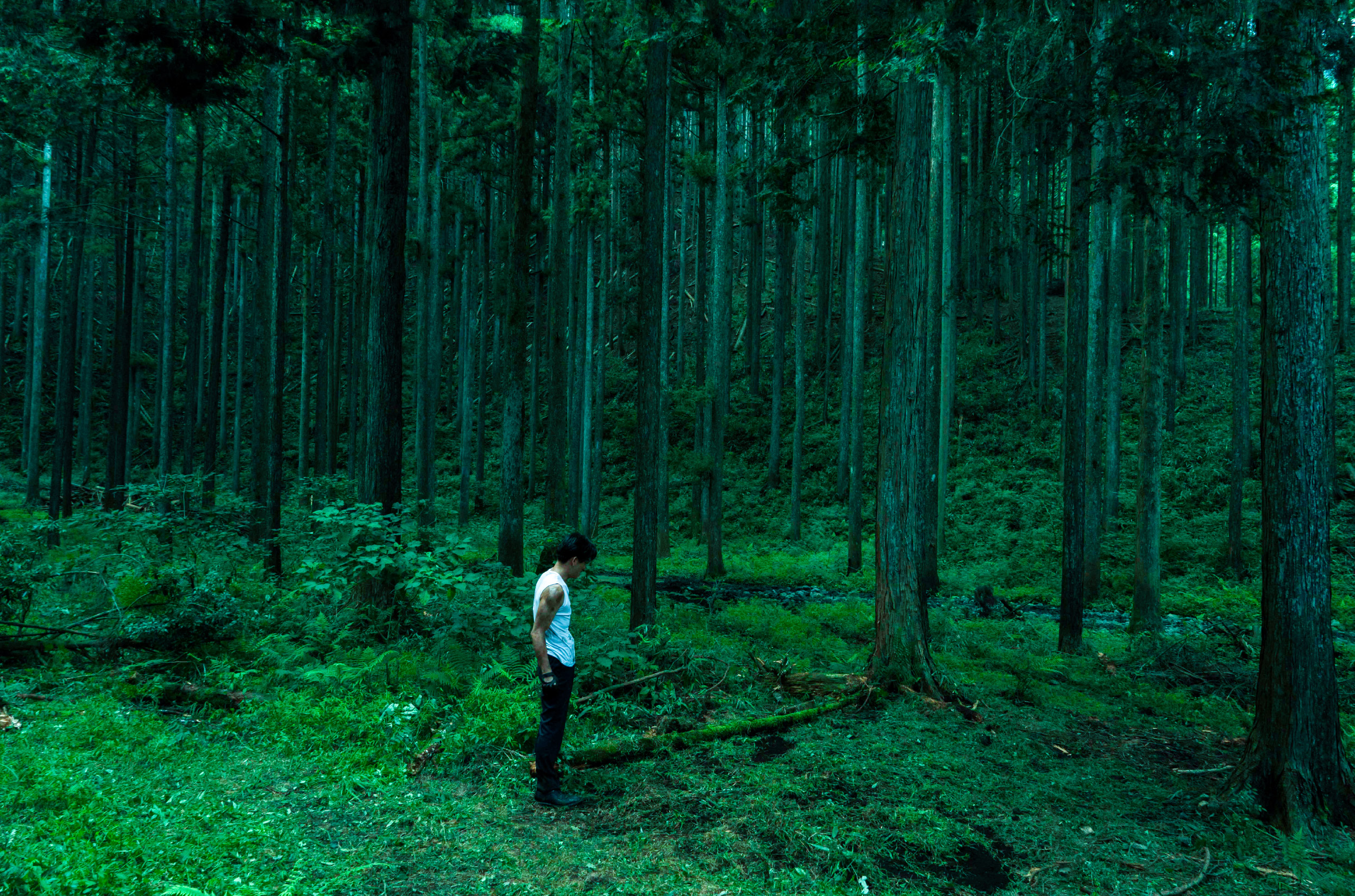 检察方的罪人剧照的剧照