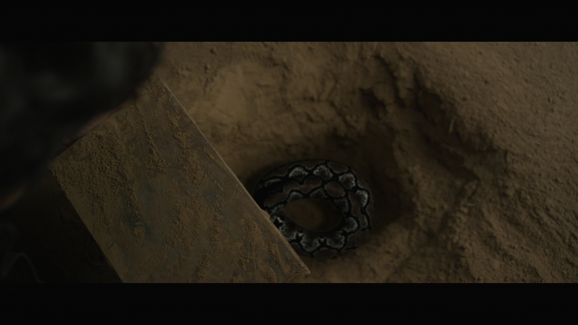 守灵剧照的剧照