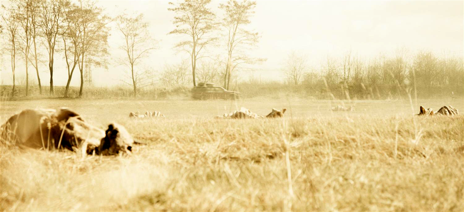 2016：夜之尽头剧照的剧照