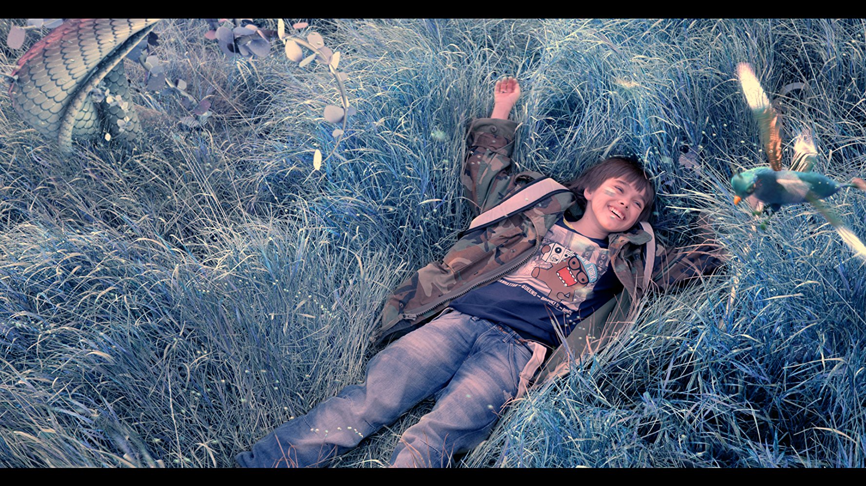 幽蓝幻境剧照的剧照