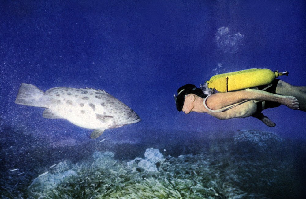 沉默的世界剧照的剧照