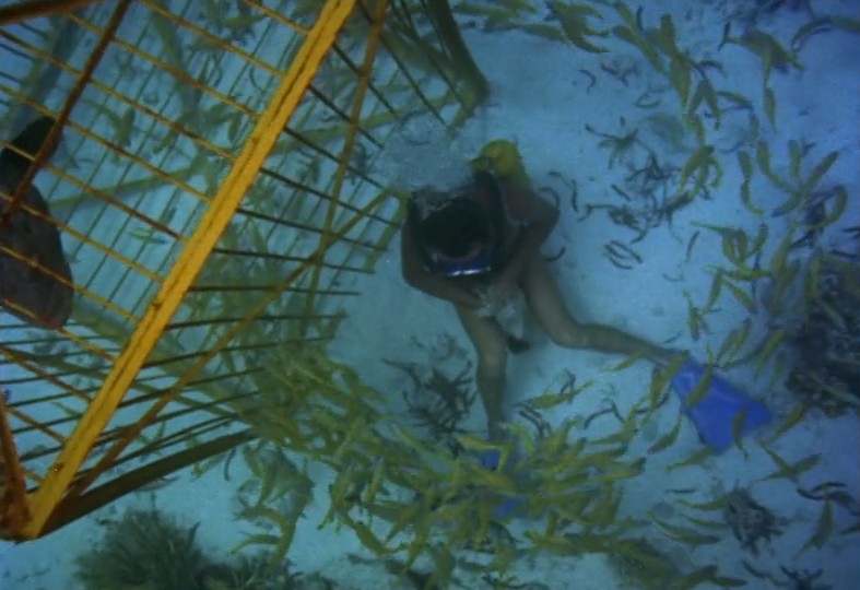 沉默的世界剧照的剧照