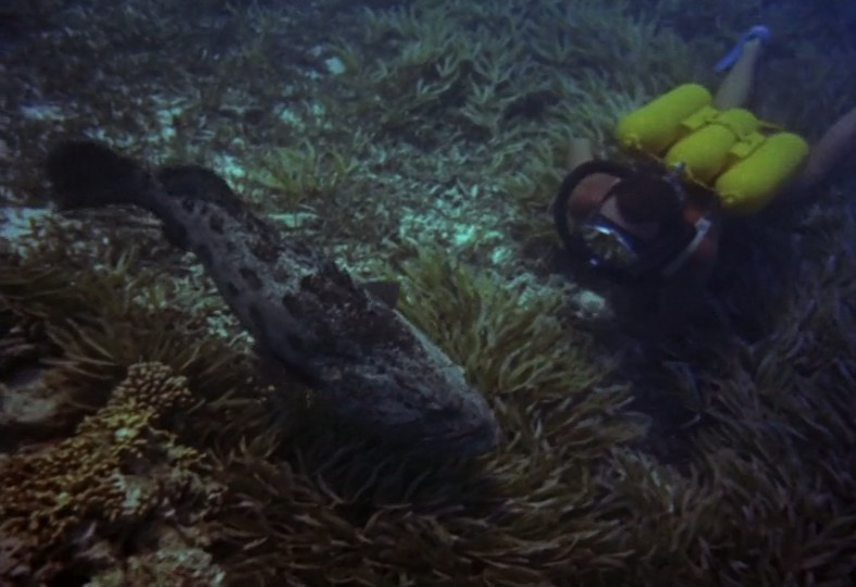 沉默的世界剧照的剧照