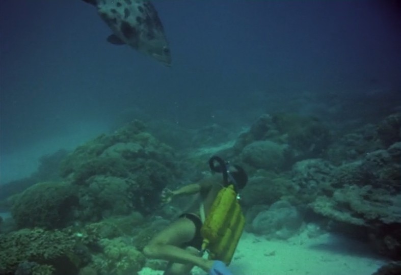 沉默的世界剧照的剧照