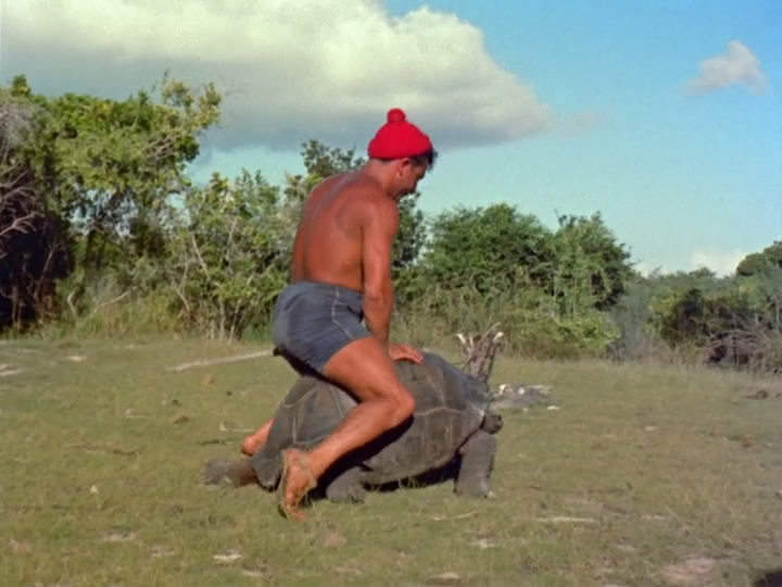 沉默的世界剧照的剧照