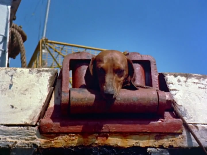 沉默的世界剧照的剧照