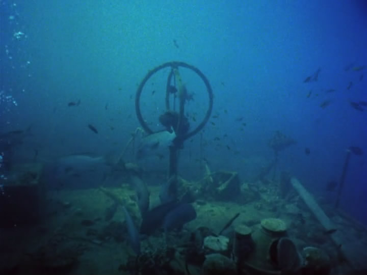 沉默的世界剧照的剧照