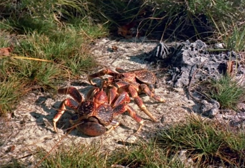 沉默的世界剧照的剧照