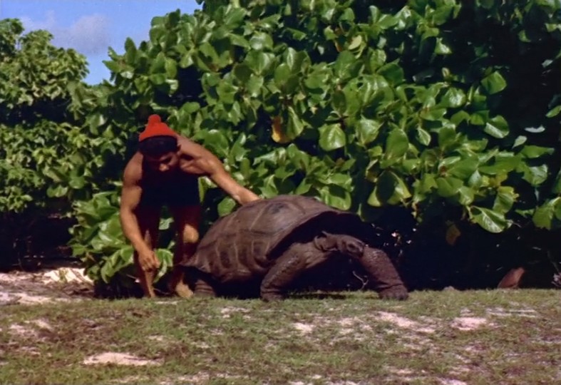 沉默的世界剧照的剧照