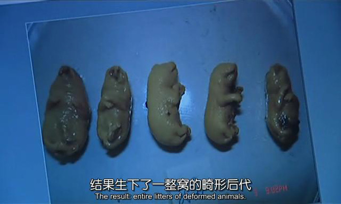 抢救切尔诺贝利剧照的剧照