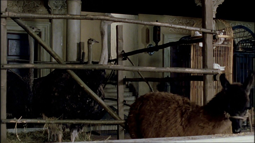 拜伦剧照的剧照